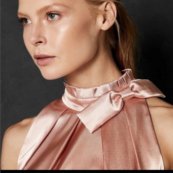 NWT ted baker satin bow neck pleated midi dress rose gold Size 8 spring wedding - Picture 13 of 15